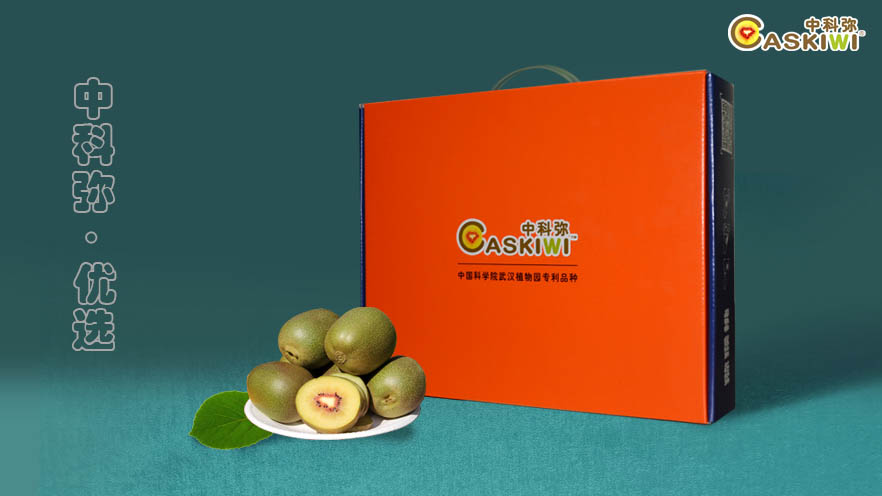 中国科学院武汉植物园专利品种猕猴桃