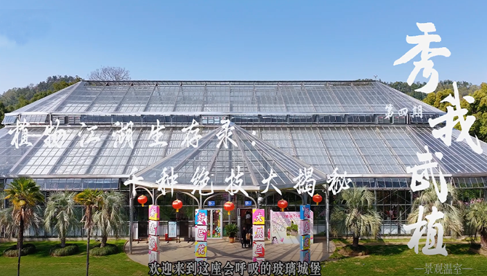 植物江湖生存录：千种绝技大揭秘