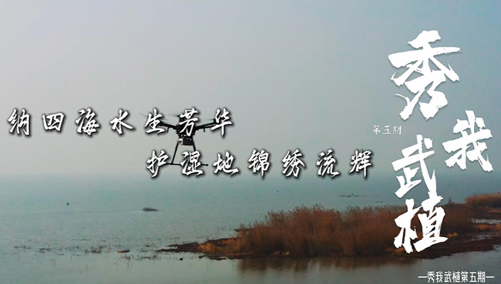 纳四海水生芳华，护湿地锦绣流辉